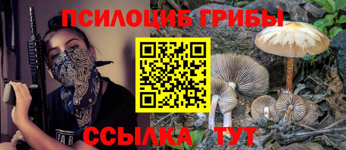 Псилоцибиновые грибы мицелий  Вход с VPN  Севастополь 
