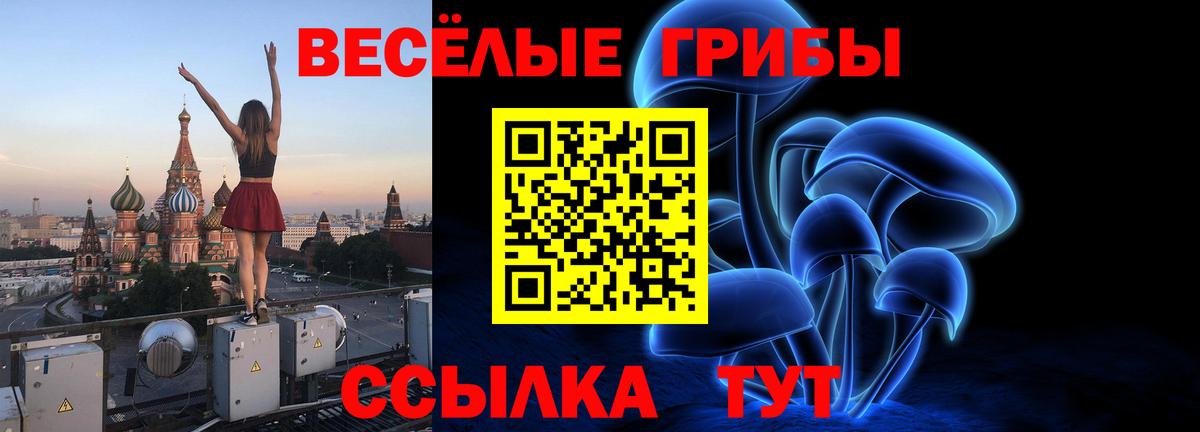 Псилоцибиновые грибы Psilocybine cubensis Севастополь